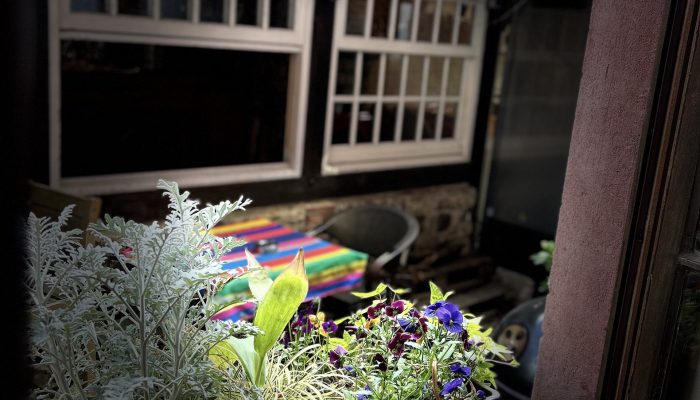 IMG_2406 IMG_2406